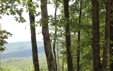 Additional View
