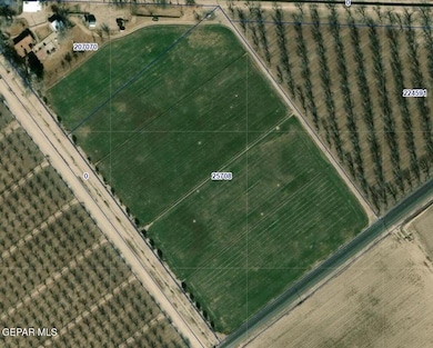 PN-25708 Island Rd, Fabens, TX 79838 - photo 5