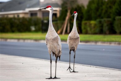 6814 162nd Place E, Parrish, FL 34219 - photo 7