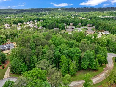 6710 Double Oak Ct unit Lots 7 & 8, Birmingham, AL 35242 - photo 3