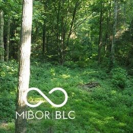 0 E County Road 800 N, Milan, IN 47031 - photo 6