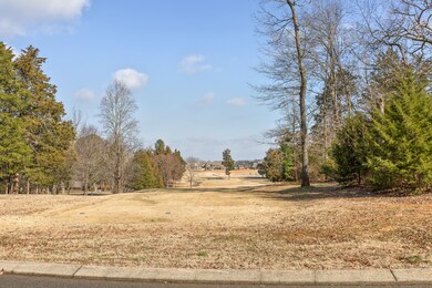 7914 Giorgio Cir, Ooltewah, TN 37363 - photo 3