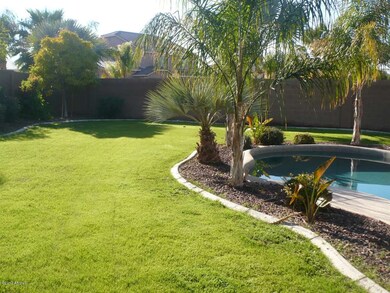 yard 1