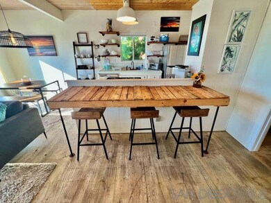 734 Dewitt Ave, Encinitas, CA 92024 - photo 3