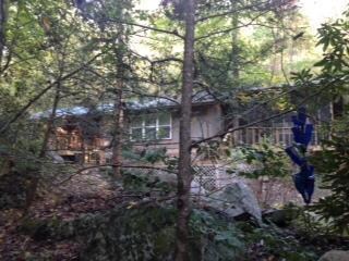 Little cabin in the woods!