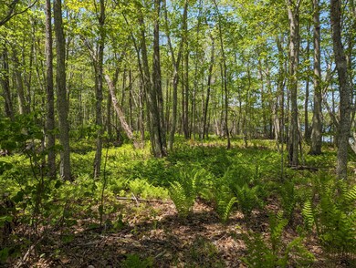 PXL_20230523_164344401