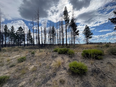 0 Shasta Fir Ln unit 9 220206679, Beatty, OR 97621 - photo 5