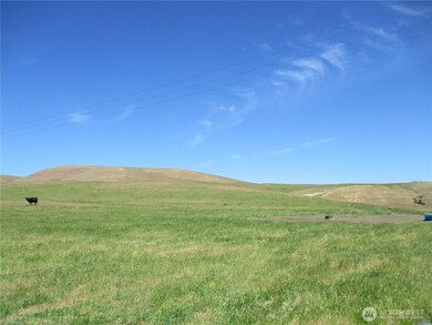 1838 Byerley Rd, Touchet, WA 99360 - photo 6