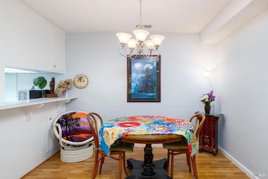 446 Las Casitas unit D, Santa Rosa, CA 95403 - photo 5