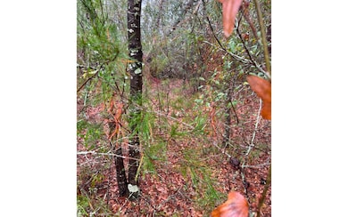 Subject Property