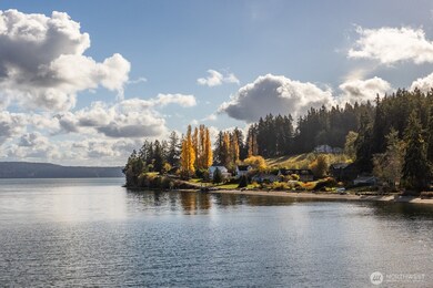 11324 Laurel Place, Anderson Island, WA 98303 - photo 5