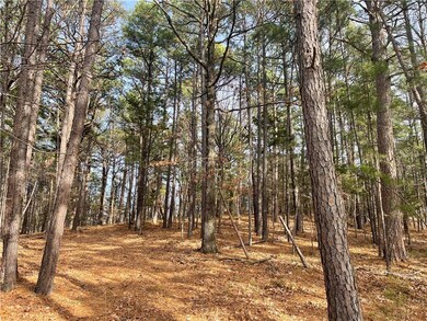 11828 Shockley Place Rd, Rogers, AR 72756 - photo 6