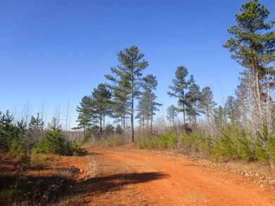 659 Old Mansion Rd, Lunenburg Court House, VA 23952 - photo 5