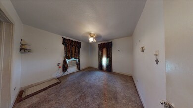 2521 Avenue of Oaks St, Houston, TX 77026 - photo 5