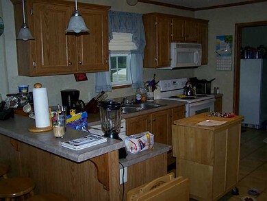 14206 Mineral Springs Rd, West Fork, AR 72774 - photo 4