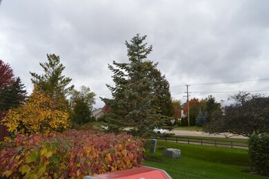 2042 Peach Tree Ln unit 4175, Algonquin, IL 60102 - photo 4