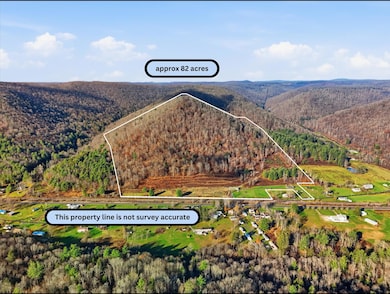 89 Sizer Run Rd, Emporium, PA 15834 - photo 2