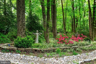 2311 Rosedown Dr, Reston, VA 20191 - photo 6