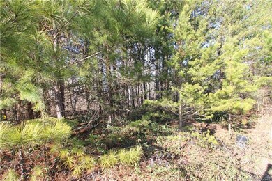 Lot 10 Riverstone Dr unit 10, Lincolnton, NC 28092 - photo 5