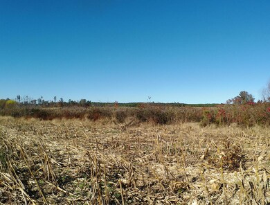 TBD Concord Church Rd, Ellerbe, NC 28338 - photo 7