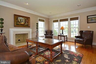 12006 Tregoning Place, Clarksburg, MD 20871 - photo 4