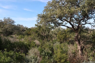 8727 Terra Mont Way, San Antonio, TX 78255 - photo 6