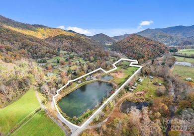 1100 Reems Creek Rd, Weaverville, NC 28787 - photo 6