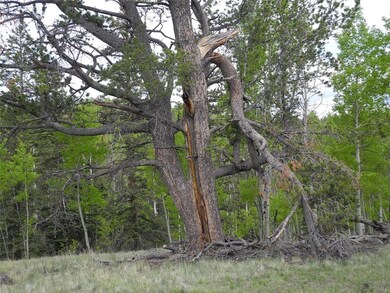 304 Old Squaw Rd, Como, CO 80432 - photo 4