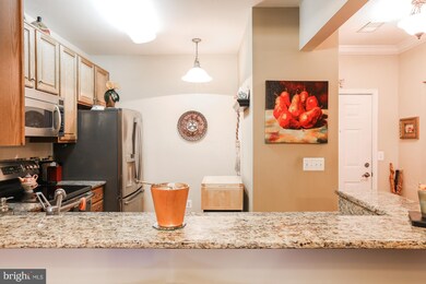 8615 Fluttering Leaf Trail unit 201, Odenton, MD 21113 - photo 2