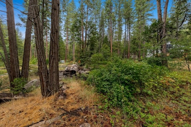 0 Pickwick unit 225101722, Kyburz, CA 95720 - photo 3