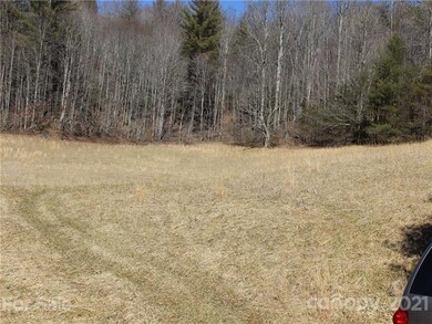 00 Will Anglin Rd, Price Creek, NC 28714 - photo 2