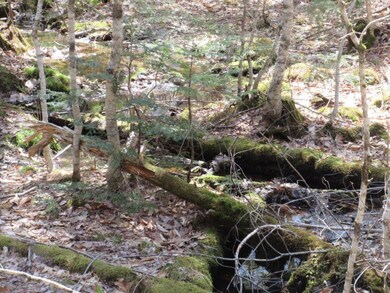 0 Fernalds Hill unit 1375128, Stow, ME 04037 - photo 2