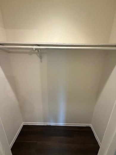 Spacious closet featuring dark wood finished floo