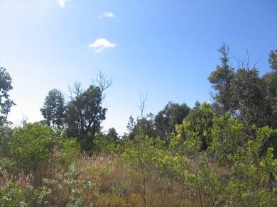 Building pad with big views to west.