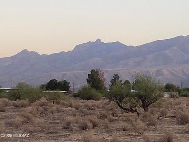 IMG-6219
