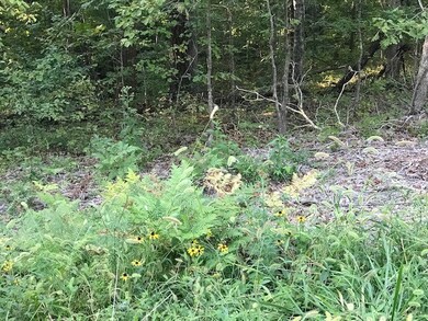 0 Camborne Dr unit 1227539, Bella Vista, AR 72714 - photo 2