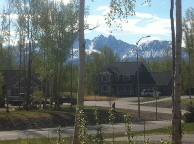 2910 S Paddock Dr, Wasilla, AK 99654 - photo 2
