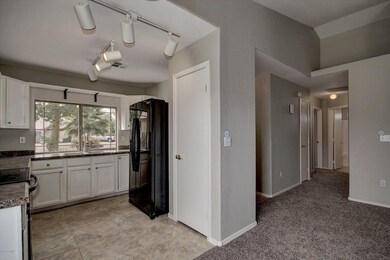 369 N Abalone Dr Gilbert (4)