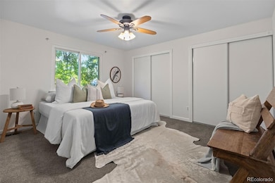 11537 Marshall St, Westminster, CO 80020 - photo 4