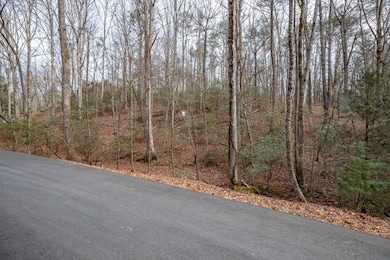 454, 455 Seneca Dr, Ellijay, GA 30540 - photo 6