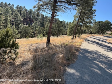 Lot 6 El Camino Dr, Alto, NM 88312 - photo 3