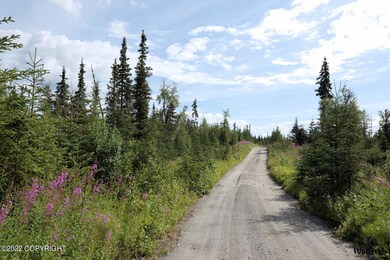 D24 Alaskan Wildwood Ranch(r), Nikolaevsk, AK 99556 - photo 6