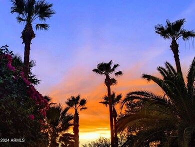 Sunset pic lemon circle