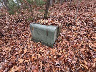 0 Rosenkranz Ln unit 420573, Hiawassee, NC 28904 - photo 4