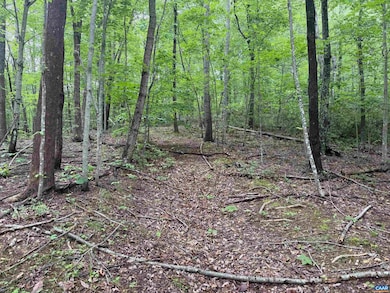 TBD Rabbit Valley Rd, North Garden, VA 22959 - photo 4