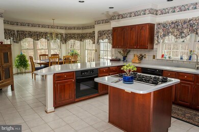 9201 Hampton Hunt Dr, Fairfax Station, VA 22039 - photo 7