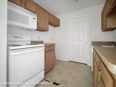 322 Pere Marquette Dr unit 15, Lansing, MI 48912 - photo 6