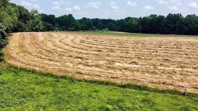 7286 County Line Rd, Lula, GA 30554 - photo 3