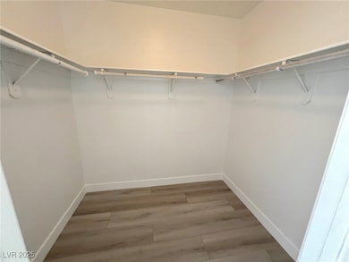 Spacious closet with light wood-style flooring