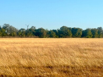 0 New Windsor Pkwy unit 25552739, McGregor, TX 76657 - photo 4